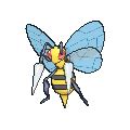 beedrill serebii